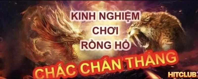 Một vài các thủ thuật chơi rồng hổ chắc thắng